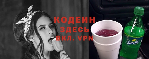 соль ск Козловка
