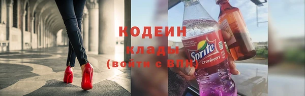 соль ск Козловка