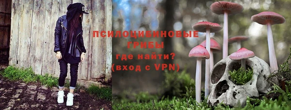 дмт Кодинск