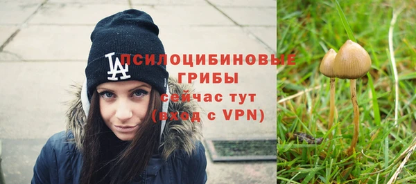 таблы Козельск