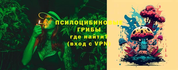 таблы Козельск