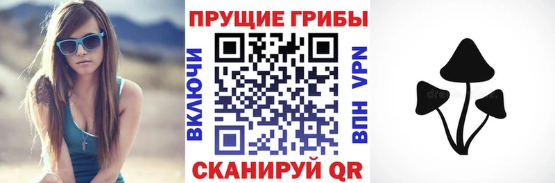 Купить где  Краснознаменск  Псилоцибиновые грибы Psilocybe 